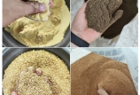 飼料原料驗收的“望、聞、問、切”